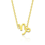 Capricorn Necklace NVZ112